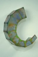 Rebecca Welz Carapace