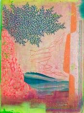 Gabe Brown Pink Vista