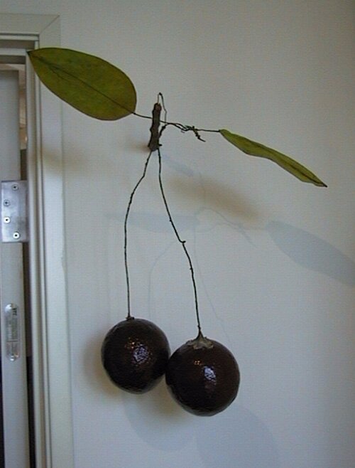 Small Hanging Cherry Branch