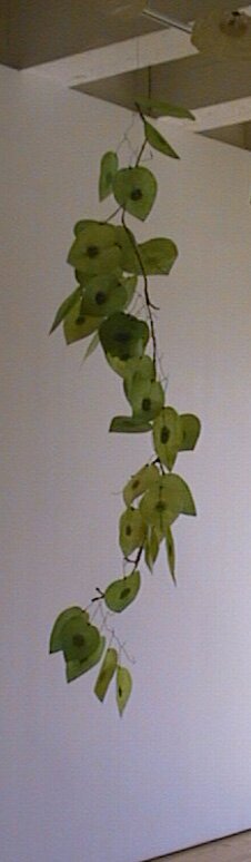 Chicken Heart Branch