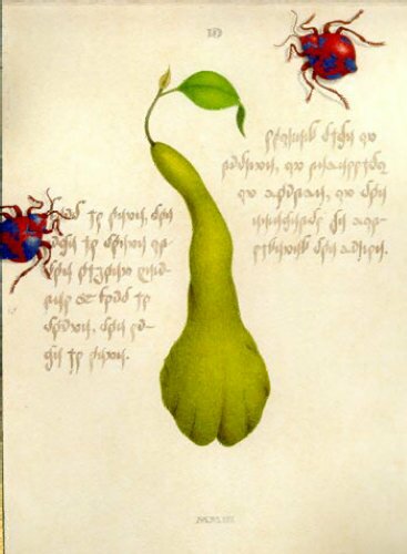 Fig. 1: Pear and pair of scarabs #2