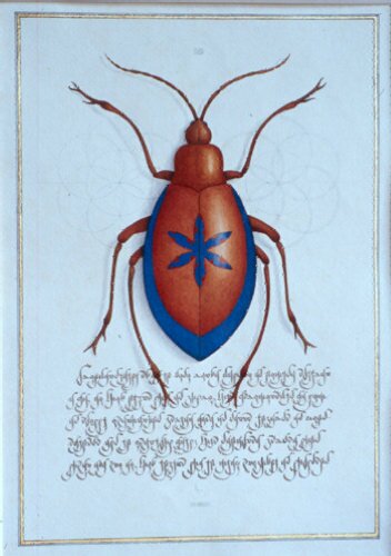 Fig. 3: Lapis Rising