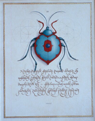 Fig. 5: Blue Margin