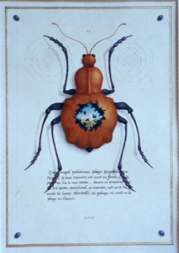 Fig. 8: Oulipo; 
