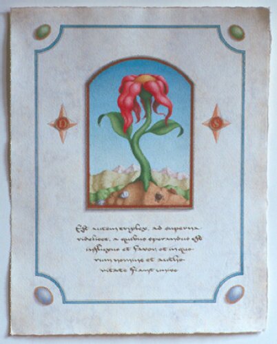 Hortulus