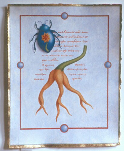 Obscuritas