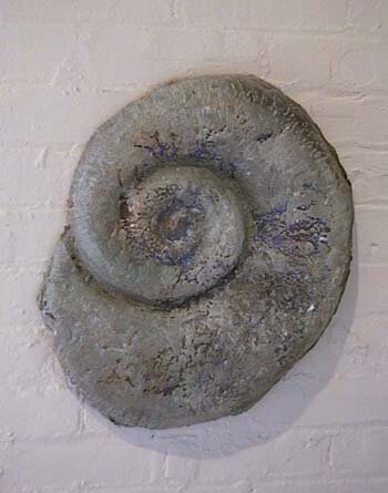 Spiral Shell