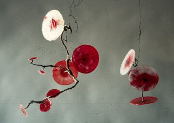 Gwakalekala Branches (Red)
