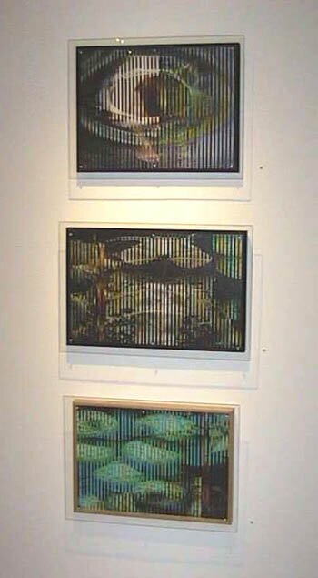 Emergence, From Within, Cross Pollination
