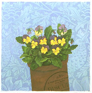 Violas and Birds on Safari