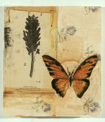 Butterfly #3