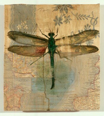 Dragonfly #7