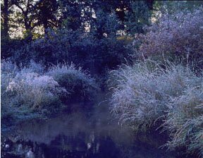 Dreams, LIke The River, Are Fleeting (The Prairie Suite)