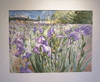 20006 Iris Fields II