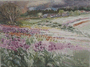 Tulip Fields With Houses