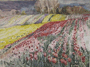 Tulip Fields I (South)