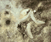 Dragon Springs and Pearls of Thunder