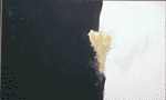 The Lighter Flower Filling The Thousand Spaces