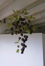 Cherry Branch (Large)