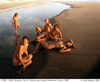 JOCK STURGES COLOR