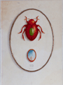 Emblemata, Fig. 2