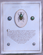 Trithemius II