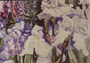 20030 White Iris 