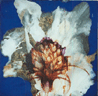 Spore I (Blue)