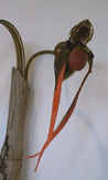 Phragmipedium - Red, Bamboo Sculpture