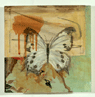 Butterfly #1