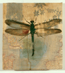 Dragonfly #7