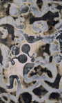 Fragment 6