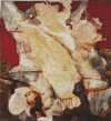 DAVID GEISER