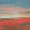 Poppies