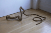 Persistence of Desire