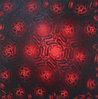 Sinew Type, Surface One (Crimson)