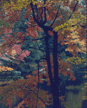 Upper Lake Cohasset, Harriman State Park (The Hudson River & the Highlands)